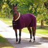 Shires Shires Deluxe Fleece Rug - Black Cherry